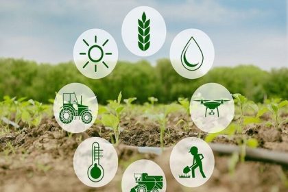 انجمن غلات ایران