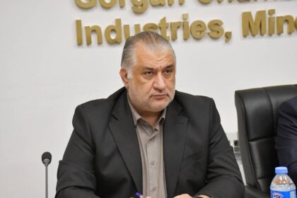 هامان هاشمی